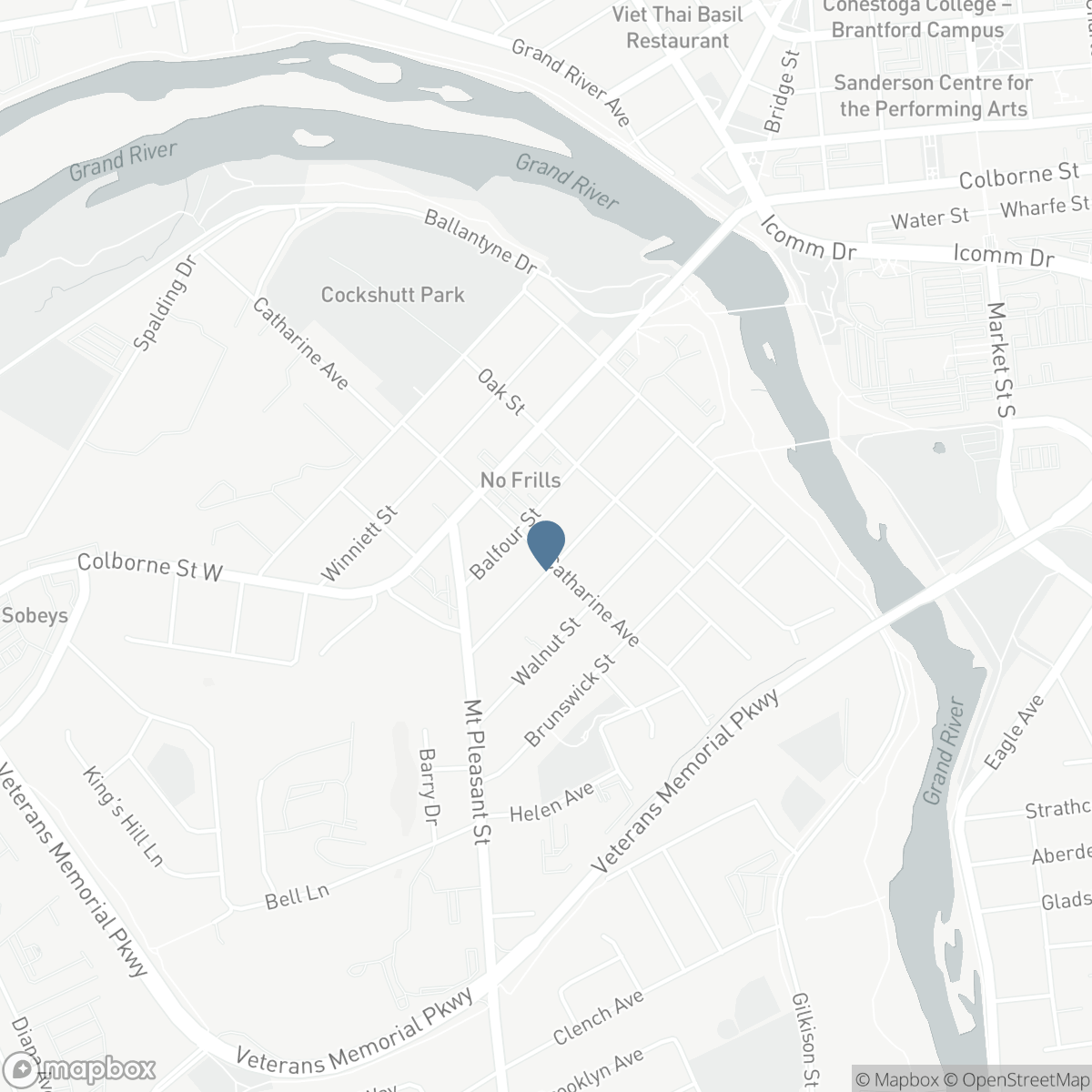 134 CATHARINE Avenue, Brantford, Ontario N3T 1Y4